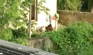 चूसने हिंदी सेक्सी ब्लू पिक्चर फिल्म और खुद को हस्तमैथुन.